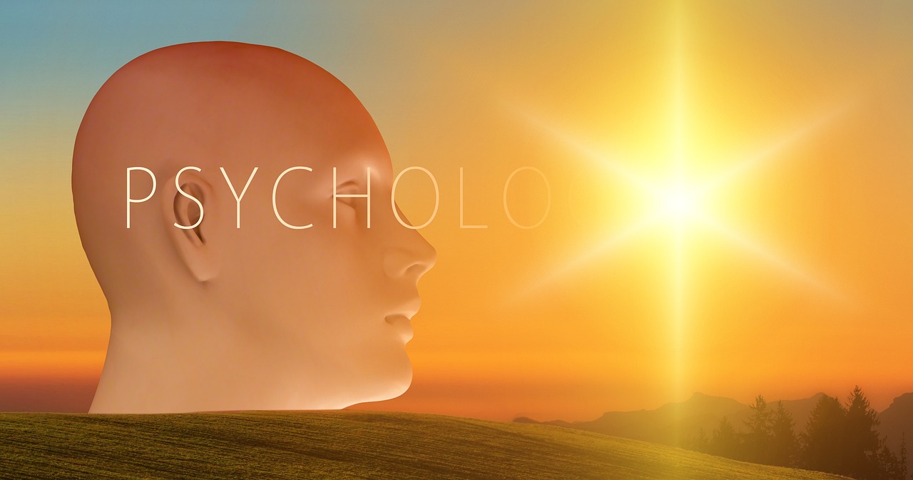 Ontology - Its Application in Psychology